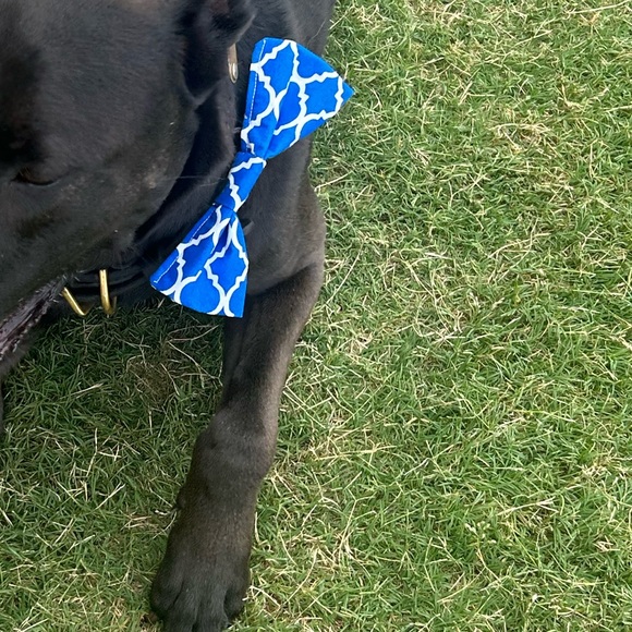 Follow Game! Return for new likes - Picture 3 of 5